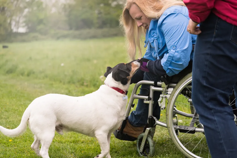 Persona en silla de ruedas acariciando a un perro blanco en un parque